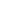 logo woleex bianco
